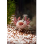 Axlotl Group