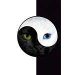 This me group that is love cats