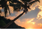 Hotel 'De palm trees