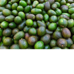Guac'd
