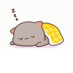 Sleepy cats donut