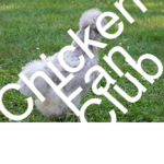 Chicken Fan Club!