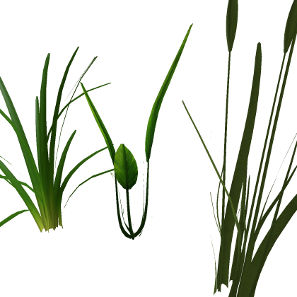 Aquatic plants pack