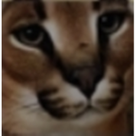 i dont know what to name it lol