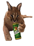 Cool Cat Army X