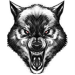 The Wolves of the dark shadows pack