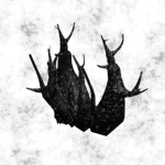 The Black Iron Studio