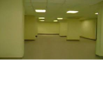 The Backrooms..