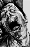 the undead zombies