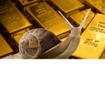 The Golden Snails