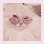 Trendy Aesthetic Fashions