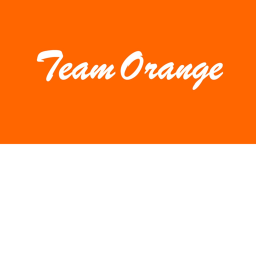 Team ORANGE FOR LIFE Hangout