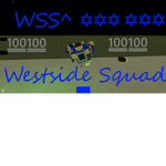 ✡WSS✡