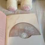 ⋆ ˚｡⋆୨🧸୧⋆˚｡⋆