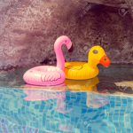 DUCK AND FLAMINGOOOO :3