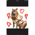 Capybare