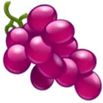 /team raisin/