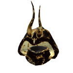 Gold Horned Conqueror