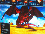 dragons!