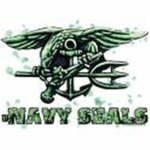 22nd navy SEALs devision