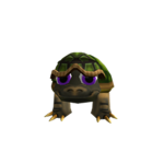 TEAM TURTLE UP IN HERE