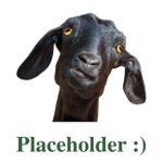 happster development
