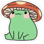 Team froggy’s
