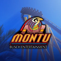 Montu | Busch Gardens Tampa | Roller Coaster icon