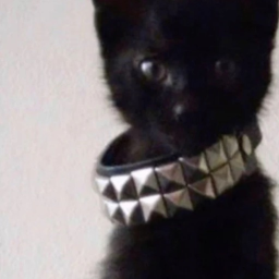 ✿