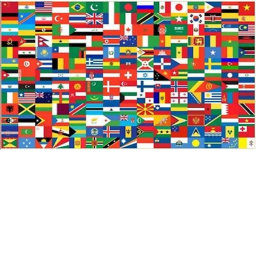 Flag showcase game