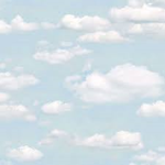 FANS FOR WHO LOVE CLOUDS BC WHY NOT