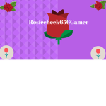 The Female Gamer