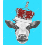 Kingdom Of Cows