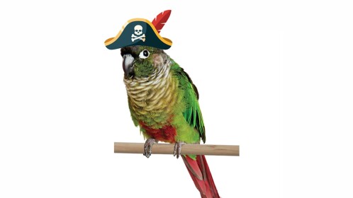 Yoshi Pirates Hangout