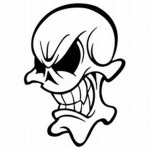 TheSkulls