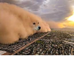 fuzzy burritos