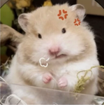 みやのグループ