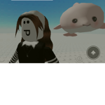 핫