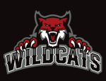 Wild-Cats Cheer team