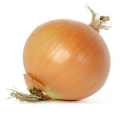 WE LOVE ONIONS