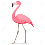 I Love Flamingo get noob