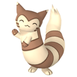 The Furret squad