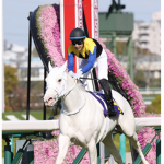 Thoroughbreds >>>