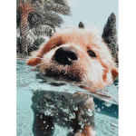 Roblox pup group!