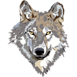 Spirit Wolf Studio