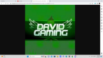 david is goated