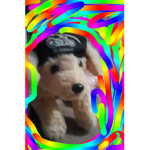 Pupy #####