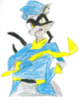 Sly Cooper Fan Club