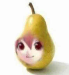 Mango gruop