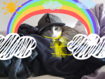 Die cool Cats